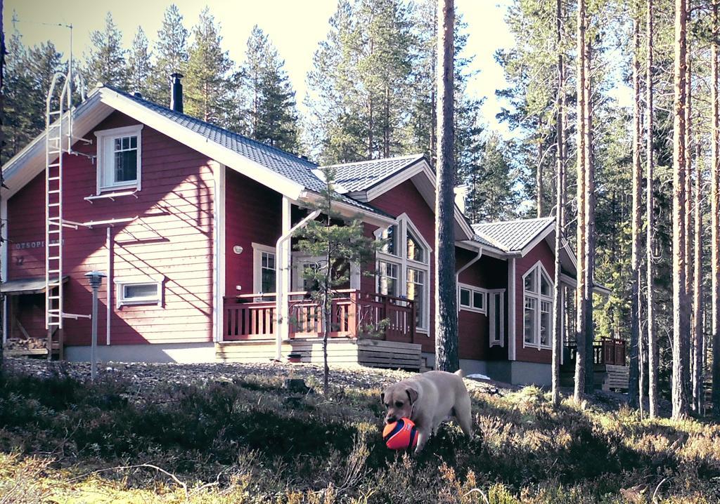 Otsopirtti: Maria And Otso Apartments Kolinkylä Chambre photo